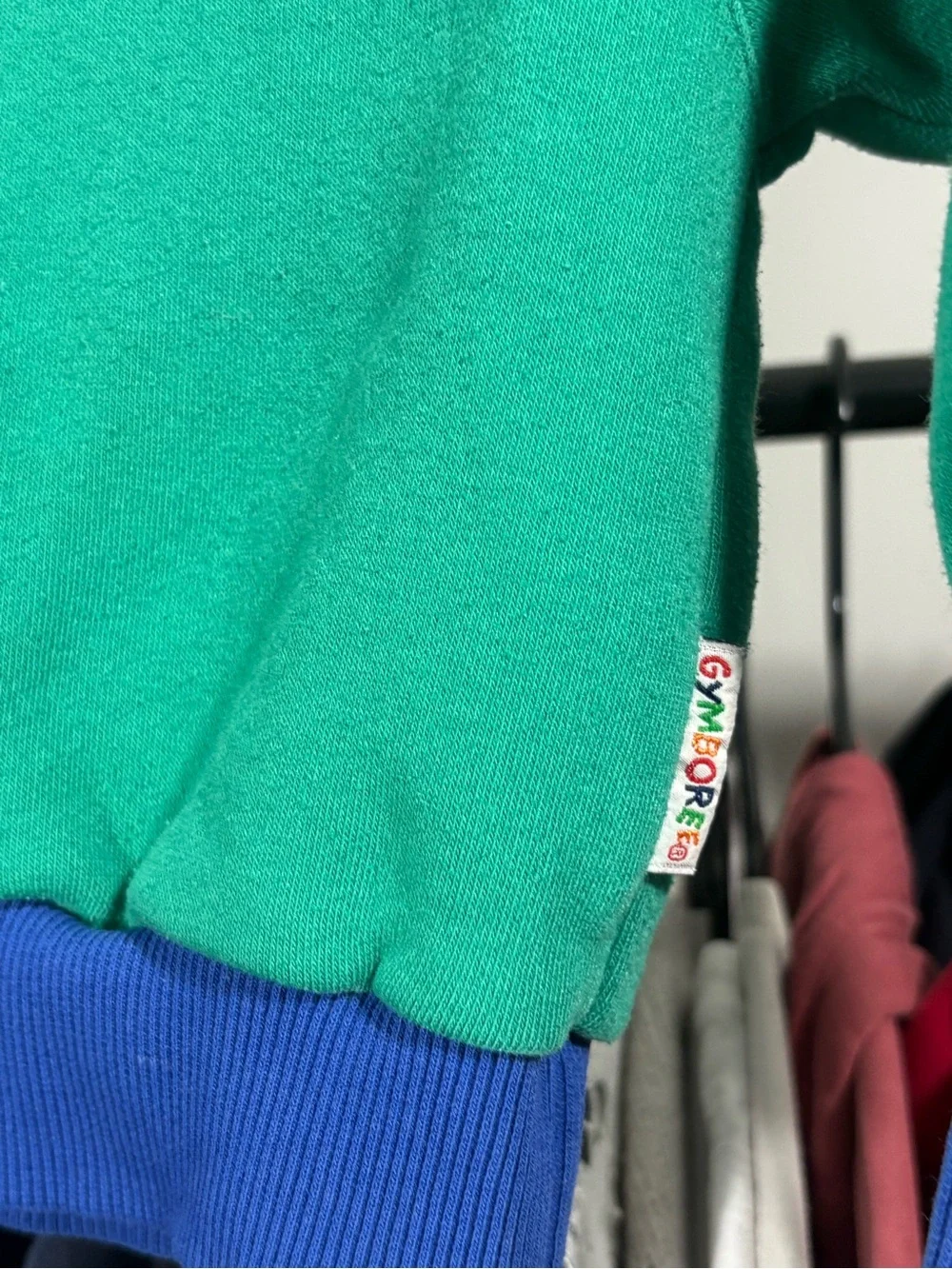 Gymboree Teal Green Crewneck Sweatshirt with Blue Trim